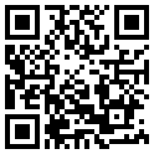 弹球少女中文版下载_弹球少女下载