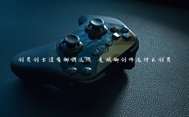 剑灵剑士没有御剑选项 魔域御剑师选什么剑灵 剑灵剑士没有御剑选项 魔域御剑师选什么剑灵
