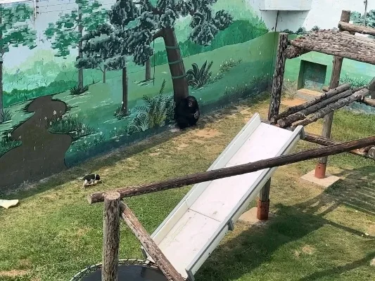 神雕野生动物园好玩吗 神雕野生动物园好玩吗知乎