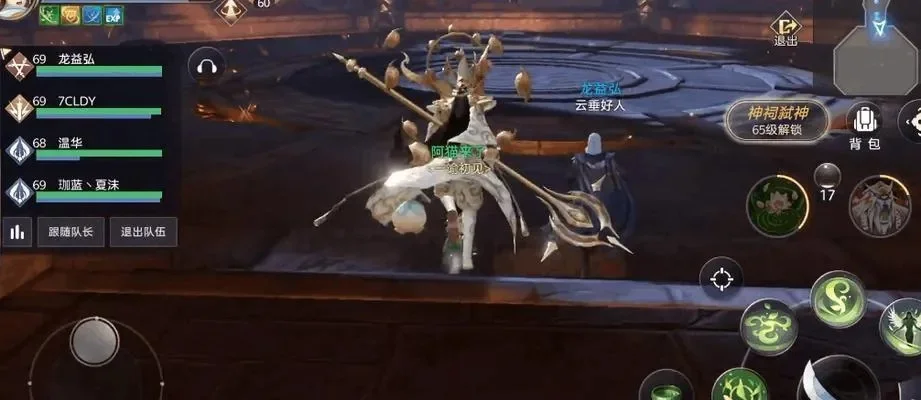 天谕手游玲珑攻略:技能详解与实战技巧分享