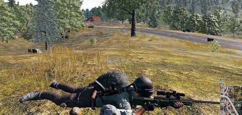 《绝地求生》猪队友克星：高效对抗攻略及心理战术揭秘