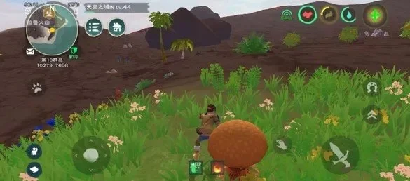 《创造与魔法》松露采集攻略：坐标、刷新时间及分布地点