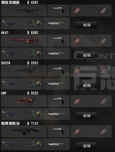 CSOL武器价格解析:金币获取、RMB购买及抽奖建议