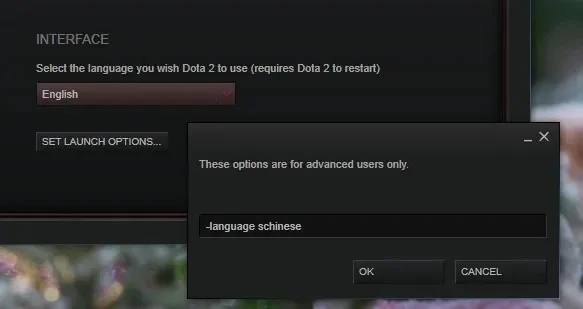Dota 2界面语言设置英文教程及问题解决