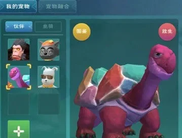 《创造与魔法》龟蛋攻略:快速获取与捕捉彩壳龟