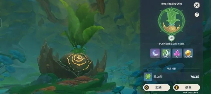 原神须弥神树开启步骤与互动指南