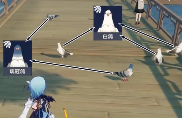 原神高效鸽子收集攻略:蒙德、璃月港稀有鸽捕捉技巧