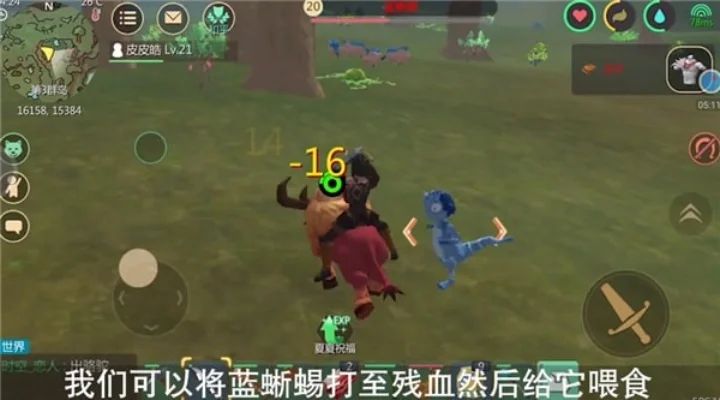 创造与魔法蓝蜥蜴捕捉攻略:地点、技巧与注意事项