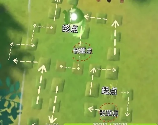 须弥苗圃快速通关攻略：12苗圃线路、塞西莉亚、梦中任务及解密方法