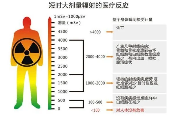 辐射清除方法全解析：消辐宁、威尔啤酒、提神饮料及高效设施指南