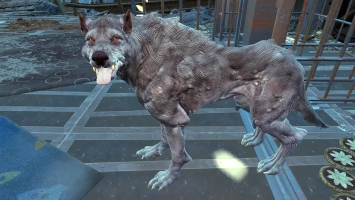 辐射4动物驯服攻略:死亡爪、牛、变种犬驯服方法及建议