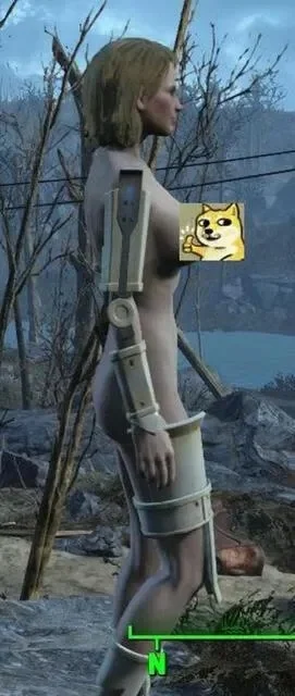 辐射4快速入门:跳过动画+全屏设置+破解中文教程