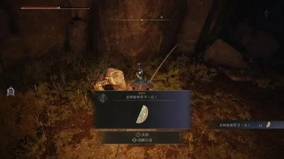 艾尔登法环眠狼破屋寻访攻略：白金村符节洞窟全步骤