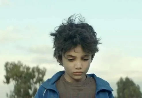 赞恩分身输出技巧解析：装备选择、技能优化及战斗策略