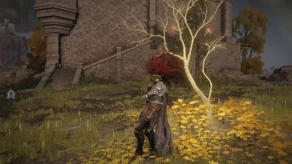 艾尔登法环:高效金币获取攻略及技巧分享