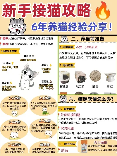 最全的新手养猫攻略游戏-新手养猫完整攻略