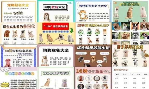 生存养狗游戏排行榜大全-生存养狗游戏推荐