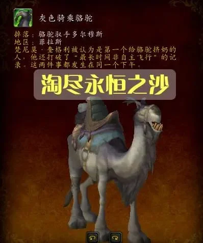 神秘的骆驼雕像具体刷新点-骆驼雕像神秘刷新点