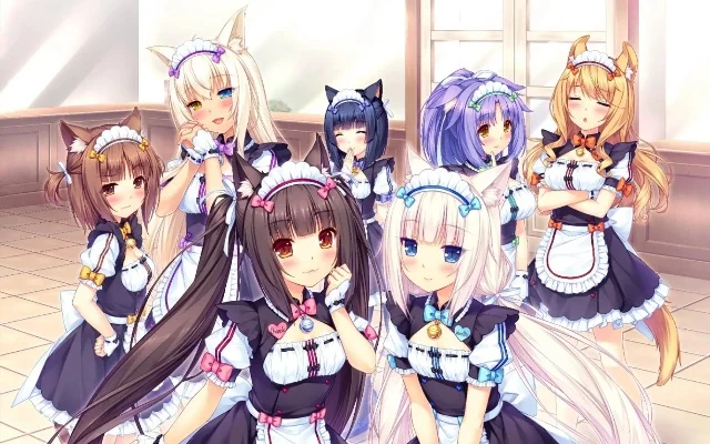 猫娘乐园巧克力游戏攻略-猫娘乐园巧克力攻略指南