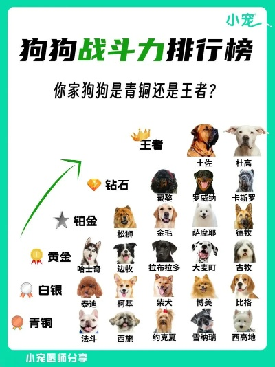 狗狗手机游戏排行榜最新-狗狗游戏排行推荐